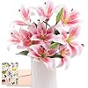 Fleurs Artificielles Haut De Gamme Bouquet De 12 Lys Artificiels SNAILGARDEN - Tiges De 50.8 Cm - Couleur Rose Et Blanc - Pour Décoration Intérieure Ou Vase Fleurs Artificielles Haut De Gamme Bouquet De 12 Lys Artificiels SNAILGARDEN - Tiges De 50.8 Cm - Couleur Rose Et Blanc - Pour Décoration Intérieure Ou Vase