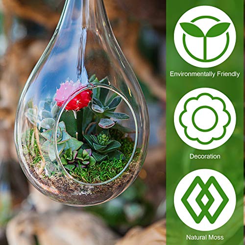 VOSAREA Pacote com 3 musgo artificial verde simulações falsas musgo para plantas, pátio, jardim, dec