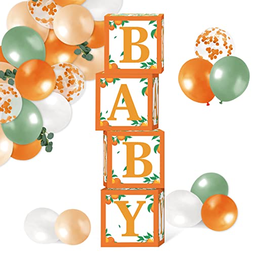 Sinasasspel Little Cutie Baby Shower Decorations Orange Balloon Boxes 1st Birthday Party Backdrop Supplies Including