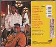 洋楽 nice & smooth AIN'T A DAMN THING CHANGED Ain't a Damn Thing Changed - Wikipedia