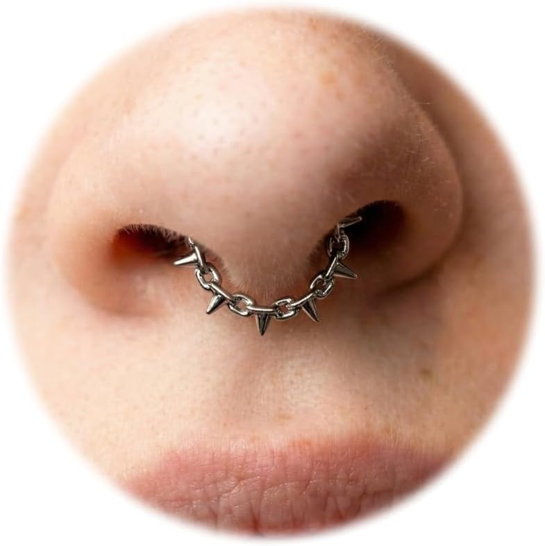 G23 Titanium Nose Rings Hoop 16G, 8mm 10mm Hinged Segment Clicker, Tarnish-Free Shower-Safe Piercing Jewelry for Septum Helix Cartilage, Hypoallergenic Earring for Women, Gold & Silver