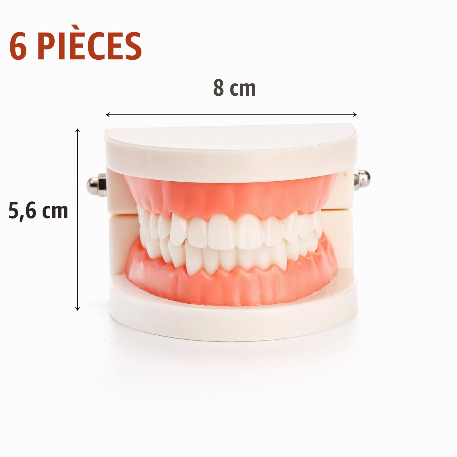 ZENFUN Lot de 6 modèles dentaires de démonstration dentaire pour étudiants, modèle de dents standard, bouche artificielle pour l'enseignement, dentiste, étudiant dentaire, affichage propre