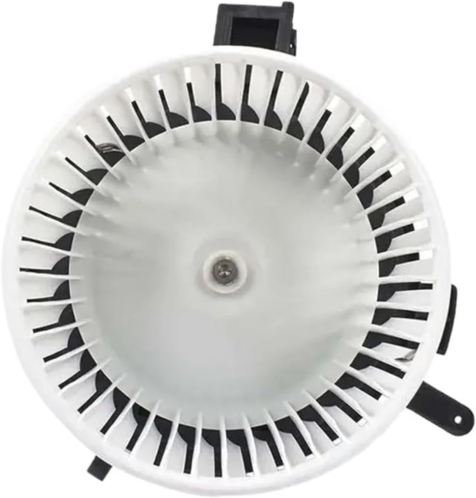 新山光哉 陶器セット プレート ボウル 桜 梅 希少 2/17.18 なお様