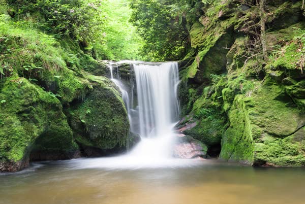 BIGGIESWindow Well Scene-Waterfall Two 90" X 60"
