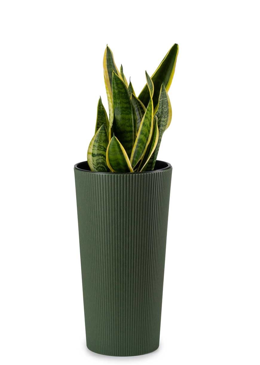 2X Vaso da Fiori Grande con Inserto per Piante | Vaso da Fiori Grande Verde in Plastica per Decorazione Soggiorno o Giardino | Set di 2 Vasi da Fiori (30xh57cm & 25xh46)