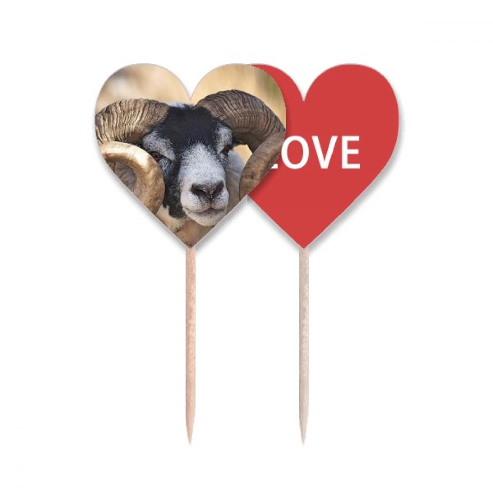 Cure-dents drapeau Love Heart pique en bois pour apéritif dînatoire