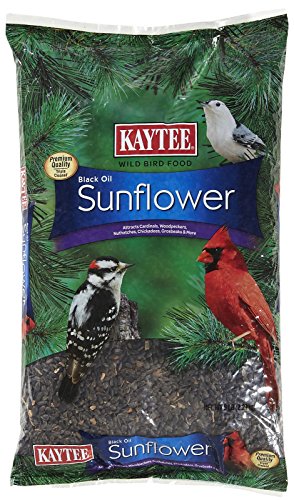 Kaytee Black Oil Sunflower Bird Food, 6lb