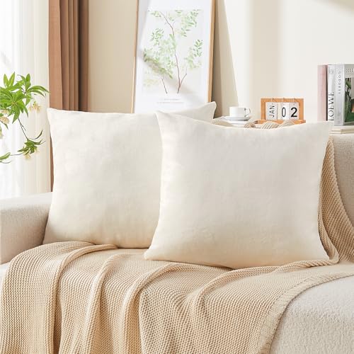 Image of BEDELITE Velvet Pillow Covers with Zipper, Off White, 26x26 Inches, 2 Pack