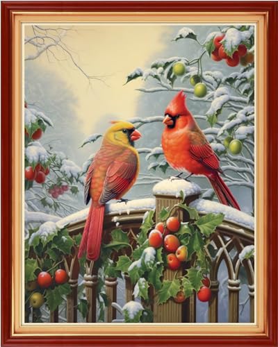 Image of Dimensean Stamped Cross Stitch Kits Full Range of Embroidery Patterns Starter Kits for Beginners Adult DIY Cross Stitches Needlepoint Kits 11CT-Parrot Snow Scenery 16x20 inch