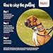 Halti Optifit Headcollar - Stop Your Dog Pulling on the Leash. Adjustable, Reflective and Lightweight, with Padded Nose Band. Dog Training Anti-Pull Collar for Small Dogs (Size Small)