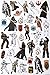 Star Wars Stickers Variety Pack: 900+ Stickers Featuring Your Favorite Star Wars Characters - 12 Sticker Sheets Perfect for Star Wars Party Favors