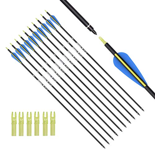 ELONG OUTDOOR Archery Carbon Hunting Arrows for Compound & Recurve Bows - 32 inch Youth Kids and Adult Target Practice Bow Arrow (12 Pack)