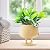 COTYNI Funky Plant Pots Female Form, 3.15 Inch Purple Female Planters for Indoor Plants, Resin Planter Pot with Drainage Hole, Planters for Outdoor Plants, Mini Succulent Pots