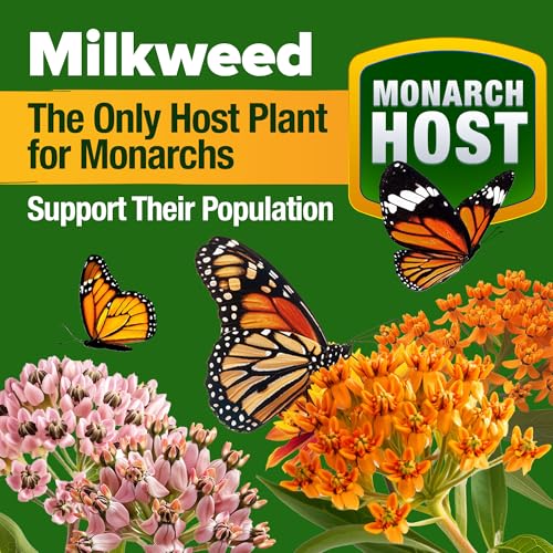 24% Off HOME GROWN Premium Monarch Butterfly Wildflower Seeds Mix - Image 3