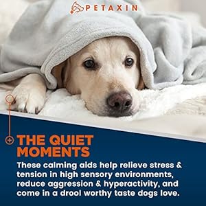   2-Pack-Petaxin-Calming-Treats-for-Dogs-Stress-Anxiety-Relief-for-Dogs-Supports-Calm-Relaxed-Behavior-Calming-Chews-for-Dogs-with-Chamomile-Ginger-More-for-Barking-Fireworks-240-Chews