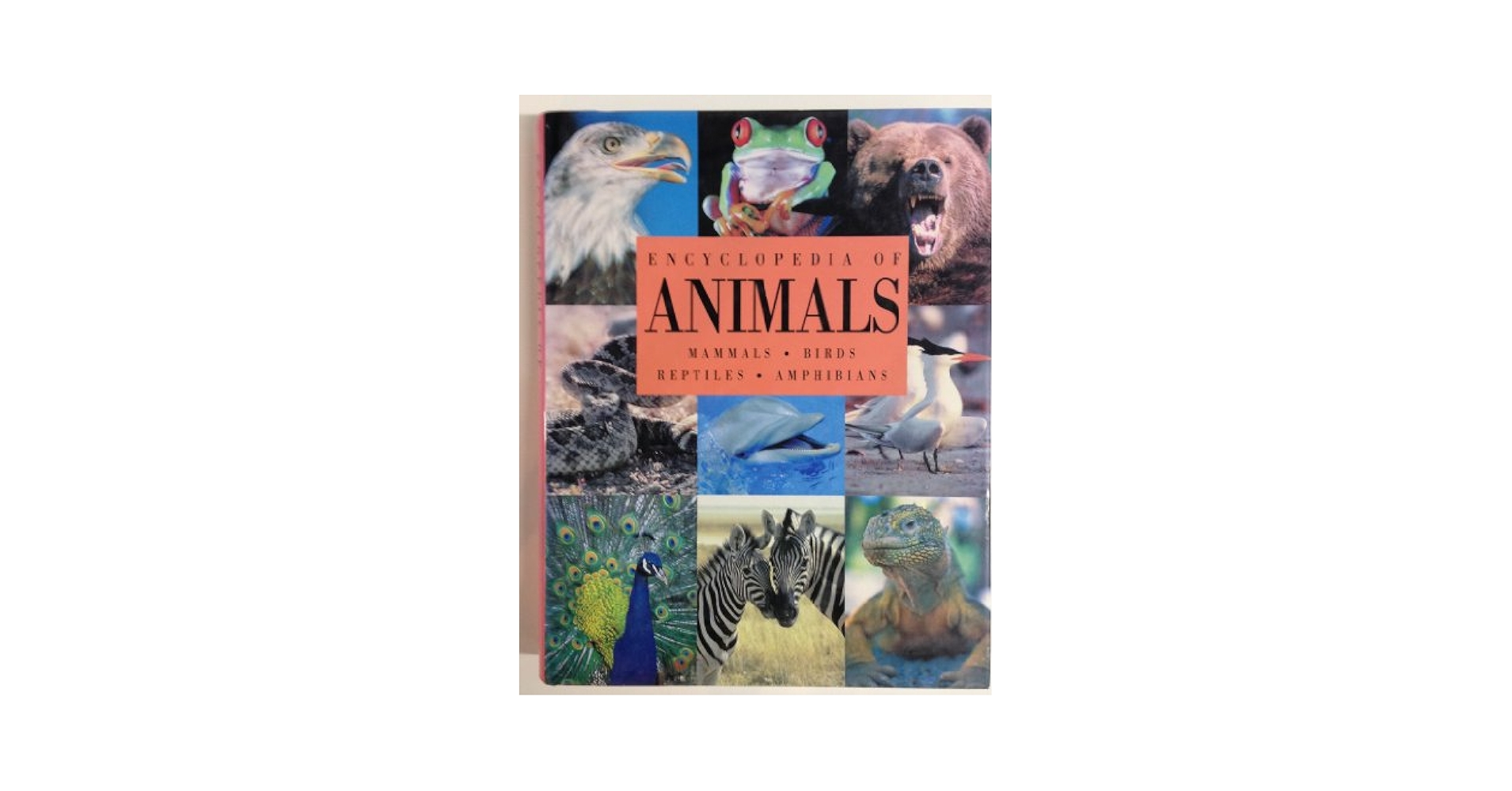Encyclopedia of Animals: Editors of Reader's Digest