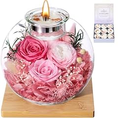 Hot Pink Rose, Pink Rose, Pink-white Austin Rose