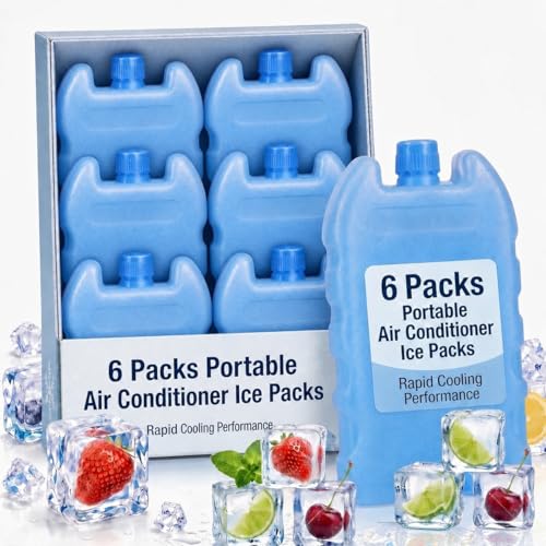 Blocs de glace pour ventilateur : lot de 6 pains de refroidissement portables camping