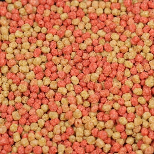 JBL PROPOND Goldfish 0,16kg (1 L) | Ganzjahresfutter Perlen für Goldfische & Schleierschwänze | Fördert Gesundheit & kräftige Farben | Artgerechte Ernährung | Schwimmend | ab 10 °C