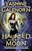 Haunted Moon: An Otherworld Novel