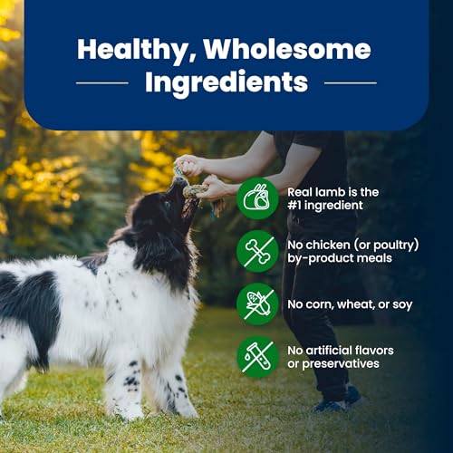 Image of Blue Buffalo Life Protection Formula Adult Dry Dog Food, Helps Build and Maintain Strong Muscles, Made with Natural Ingredients, Lamb & Brown Rice Recipe, 24-lb. Bag