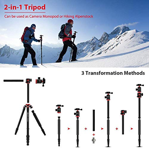Geekoto 75-Inch Aluminum Alloy Tripod Camera Tripod + Aluminum Quick Release Plate With 1/4 Screw, Canon Nikon Sony Digital Slr Camera Tripod, Aluminum Alloy Tripod With 360-Degree Ball Head And Rotat #TOP6