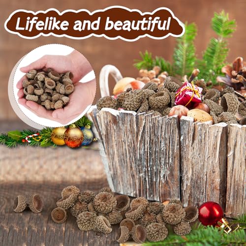 BESPORTBLE 100 piezas Cáscaras de Bellota Natural para Manualidades miniatura 2