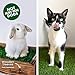 Fresh Patch Real Grass Patch for Dogs, Cats, and Extra Large Pets 30 Pounds and Above – Disposable Pet Grass Pee Pads – Indoor and Outdoor Potty Training Mat (24 Inches x 48 Inches)