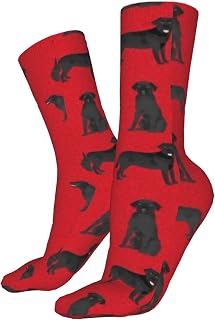 IUBBKI Running Socks Black Labrador Coordinate Pet Dog Breed Labradors Trainer Socks Casual Athletic Socks Unisex Socks For Climbing Trekking Baseball