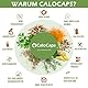 PRE WEIGHT GAINER zum Gewicht zunehmen bei Untergewicht | Gewichtszunahme vegan & hochdosiert | Natürlicher Kräuter-Komplex als Anreger für Gewichtsaufbau für Hardgainer von CaloCaps