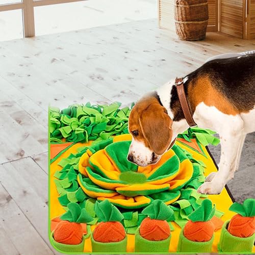 Jouet à renifler pour chien premium résistant à la mastication active