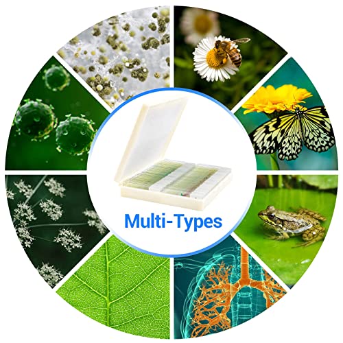 Uscamel RDMT-WS-642 100 Prepared Microscope Slides With Specimens For Kids Adults - Bacterium, Fungus, Human Tissues, Mitosis, Plants, Insects, Animals Cells Samples thumb #5