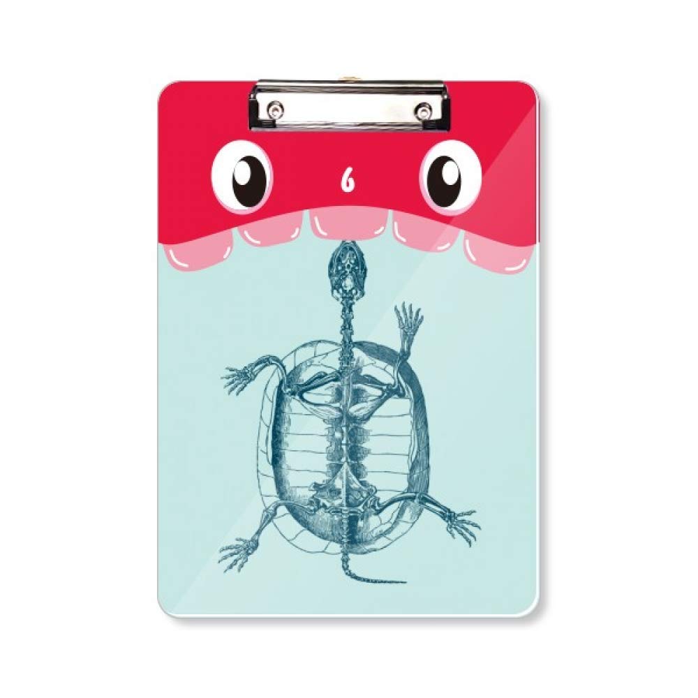 Porte-bloc motif squelette de tortue A4 impression haute définition