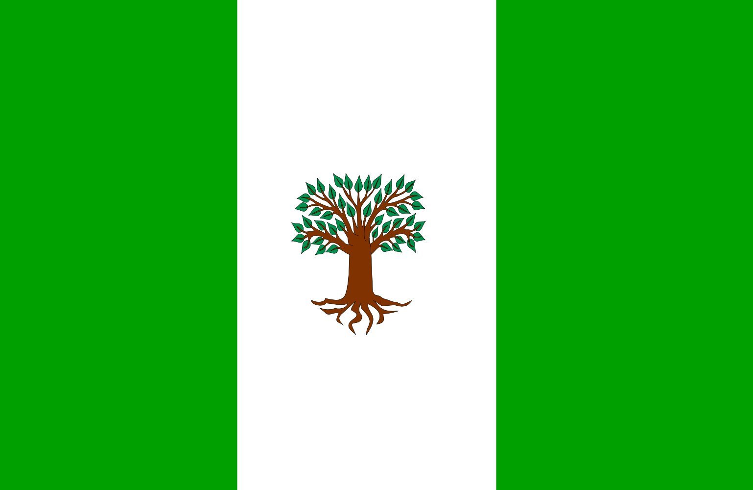 Drapeau XL Pachavita pour pavoiser vos cérémonies officielles