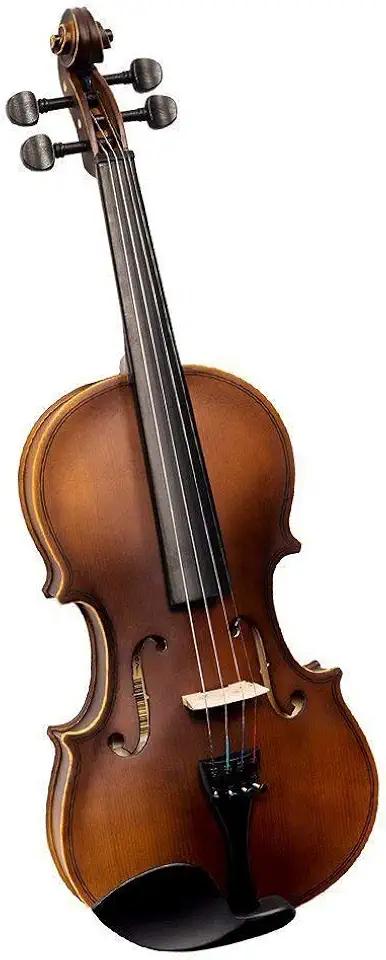 VIOLINO VOGGA VON134N 3/4