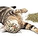 Petlinks HappyNip Catnip & Silvervine Blend for Cats & Kittens, Highly Potent Stimulant/Attractant, Great for Finicky Felines, Resealable Pouch - 2.0 oz