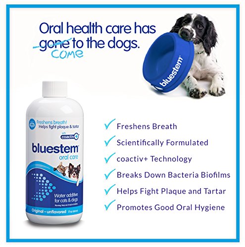 bluestem dog teeth cleaner