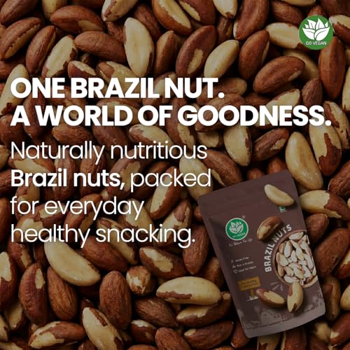 Image of GoVegan Premium Brazil Nuts 100gm | 100% Natural & Vegan | Rich in Selenium, Protein & Healthy Fats | Superfood for Energy