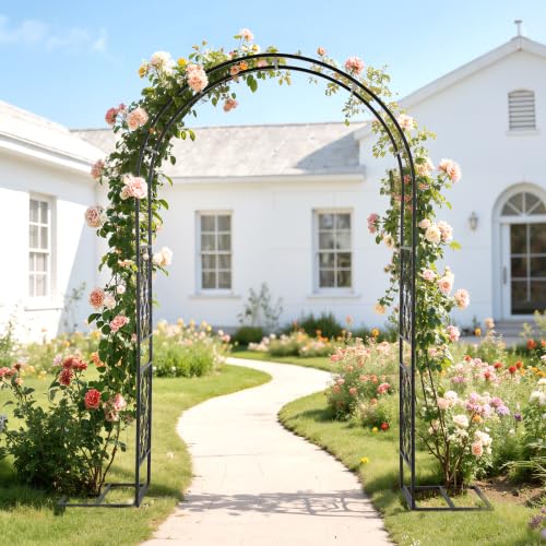 Bonnlo Arche de Jardin pour Rosier Treillis, Arche en Fer pour Plantes Grimpantes et Rosiers, Tonelle Jardin pour Mariages, Fêtes et Décorations Extérieures 230 x 220 x40cm,Style Boho