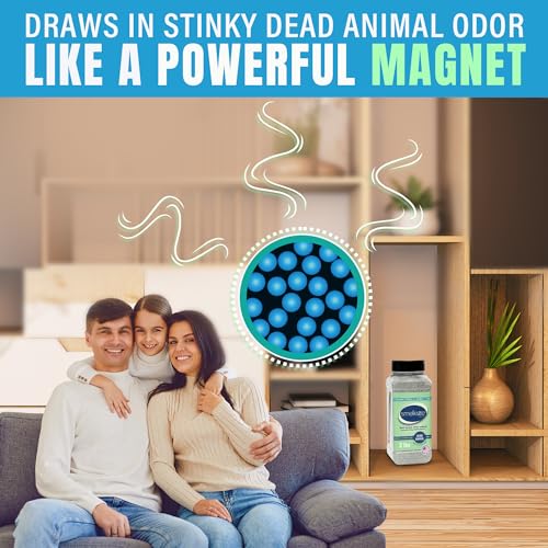 Image of SMELLEZE Dead Animal Odor Removal Granules - 2 lb Bottle | Eliminate Dead Rat, Mice, Squirrel, Chipmunk, Raccoon & Bat Smell. Safe for Indoor & Outdoor Use