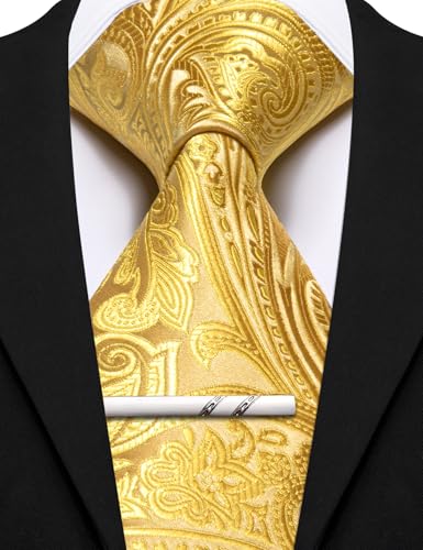 Image of Barry.Wang Paisley Tie for Men Silk Woven Necktie and Tie Clip Set Wedding Party Business Formal