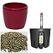 Produktbild happy nature Set 4 teilig für Erdpflanzen Keramik Blumentopf Venus weinrot Ø 16cm H 14 cm Kulturtopf 13/12 Wasserstandsanzeiger WA 12 Erdersatz