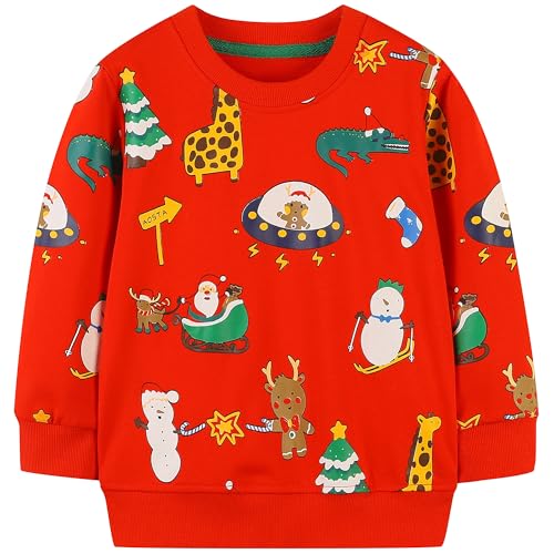 Image of AIWUHE Toddler Cotton Sweatshirt Boys Girls Pullover Long Sleeve Tops 2-6Y