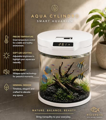 Image of rizopets Q-6 Cylindrical Smart Aquarium Fish Tank with Digital Temperature Display, lamp LED 5 WATT Filter Pump 3 watt Black, Round Shape(Size 31 cm x 31 cm x 36.5 cm.) Capacity 11 litres (White)