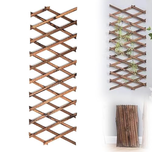 Celosía Extensible Madera, Enrejado para Plantas Trepadoras Reja Soporte Trepadoras Extensible hasta 200cm, Valla Jardin Exterior para Tus hiedras, Flores o Plantas
