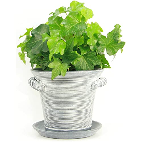 Window Garden Maceta rústica de 6.0 in – Maceta Decorativa de cerámica para decoración del hogar. para o Hierbas, Flores, Suculentas. Bellamente empaquetado
