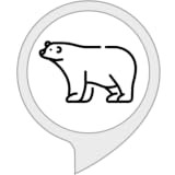 bear attack