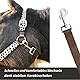 Halfter für Pferde Pferdehalfter stylischer Leopard Look, 2-Fach verstellbare Dornschnallen, Shetty, Pony, Cob, Warmblut (Warmblut (Full), Leopard)