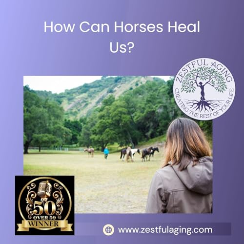 The Healing Power of Horses