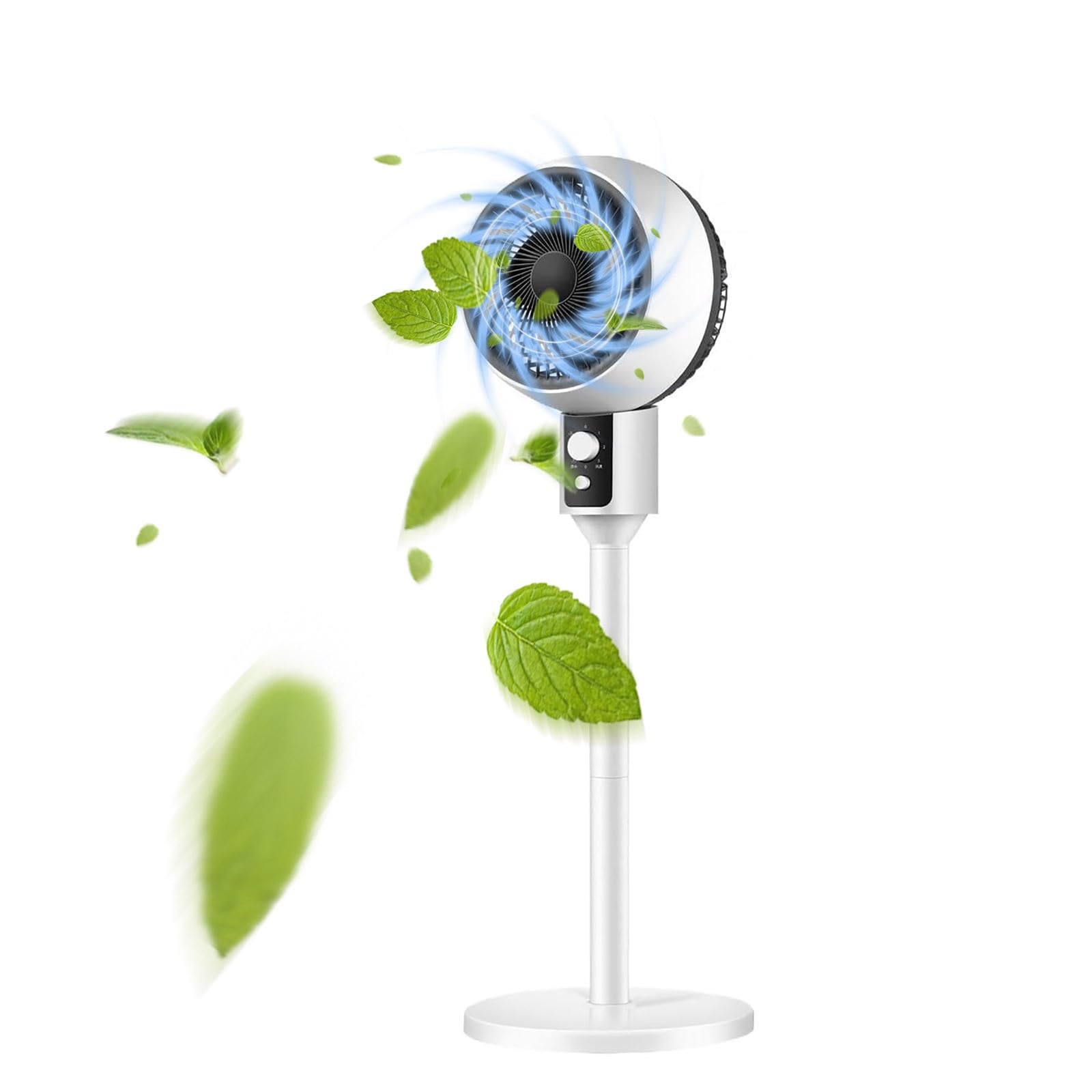 Tragbarer Stand-USB-Ventilator, höhenverstellbar, leise Luftzirkulation, für Zuhause, Schlafzimmer, Schreibtisch, Arbeitsplatz, mit oszillierendem Kopf, mehrere Geschwindigkeitsstufen